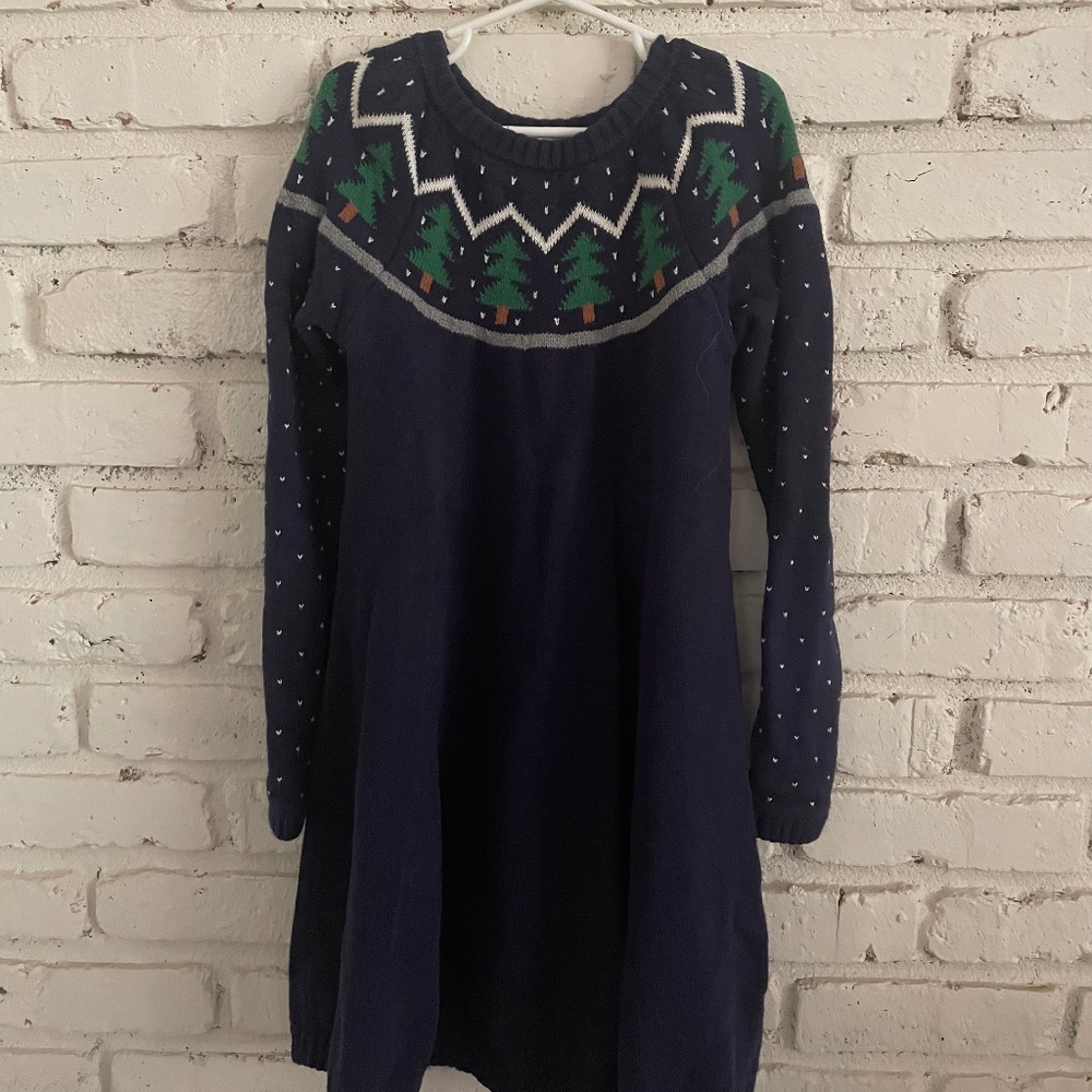 Hanna Anderson sweater dress